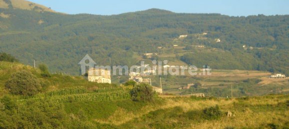 4 Schlafzimmer Haus in Belvedere Marittimo, Italy, Nr. 177173 25