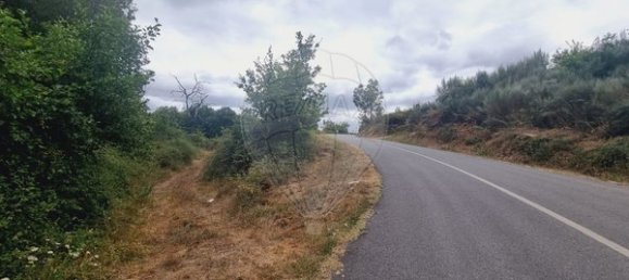 1 bedroom House in Sao Joao de Areias, Portugal No. 68393 3