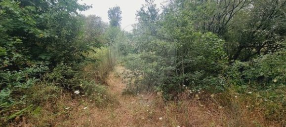 1 bedroom House in Sao Joao de Areias, Portugal No. 68393 7