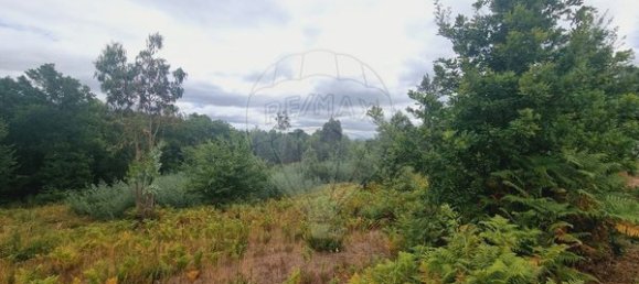 1 bedroom House in Sao Joao de Areias, Portugal No. 68393 6