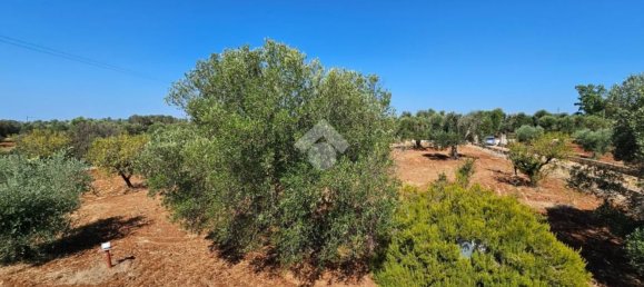 3 rooms House in Ceglie Messapica, Italy No. 282462 29