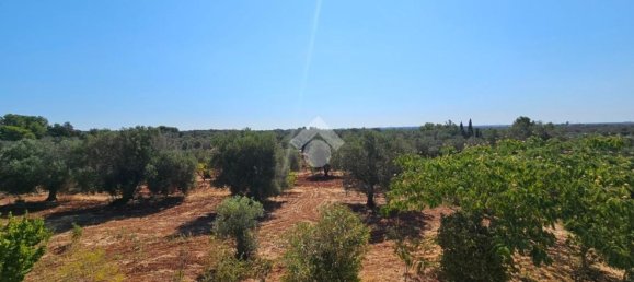 3 rooms House in Ceglie Messapica, Italy No. 282462 28