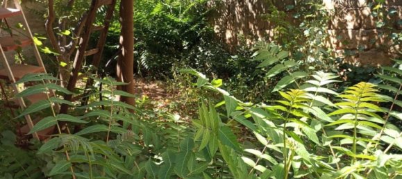 5-Zimmer Wohnung in Castelvetrano, Italy, Nr. 258724 15