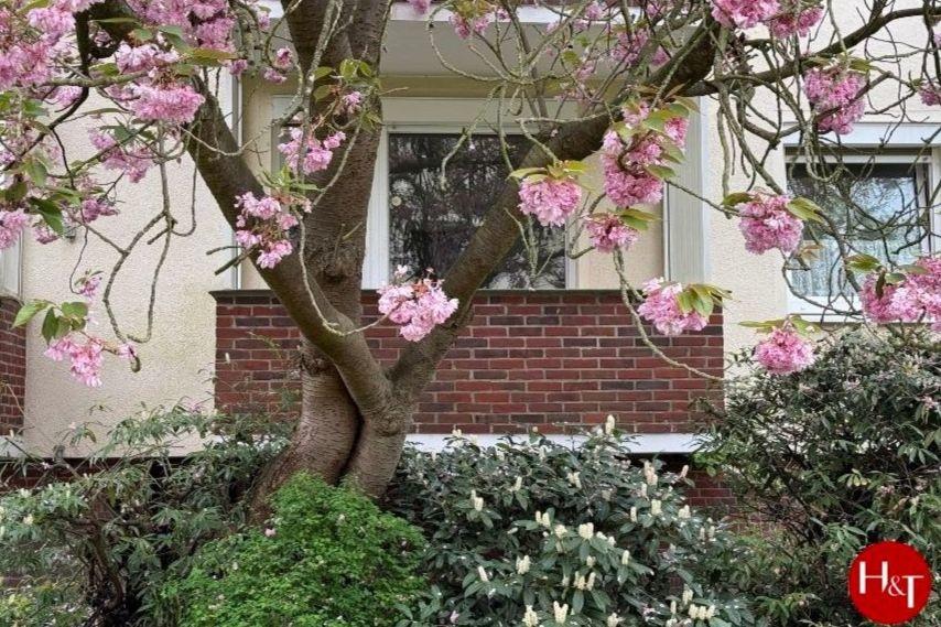 Studio in Bremen, Germany No. 285321