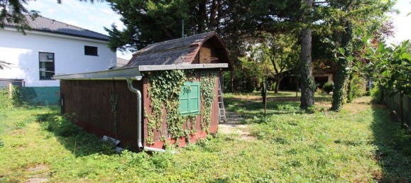 Бунгало с 4 комнатами в Вена, Австрия № 234519 11