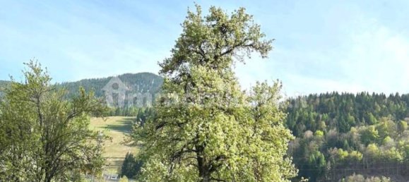 3 Schlafzimmer Villa in Udine, Italy, Nr. 151978 26