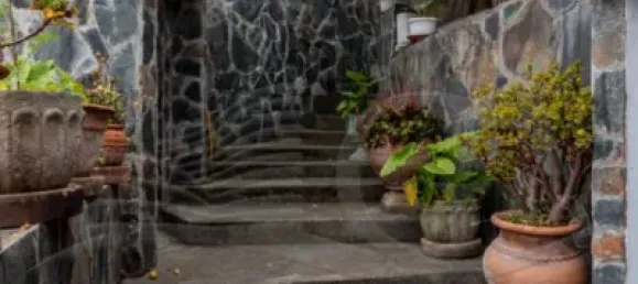 6 bedrooms House in Arucas, Spain No. 170097 39