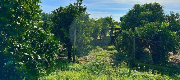 4 bedrooms House in Montijo, Portugal No. 22423 19