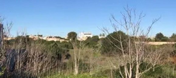 7600m² Land in Marsala, Italy No. 255870 2