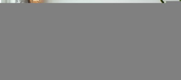 5 rooms Apartment in Novafeltria, Italy No. 11424 15