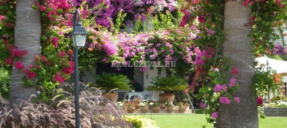 Villa 4+1 à Bodrum, Turkey No. 28227 20