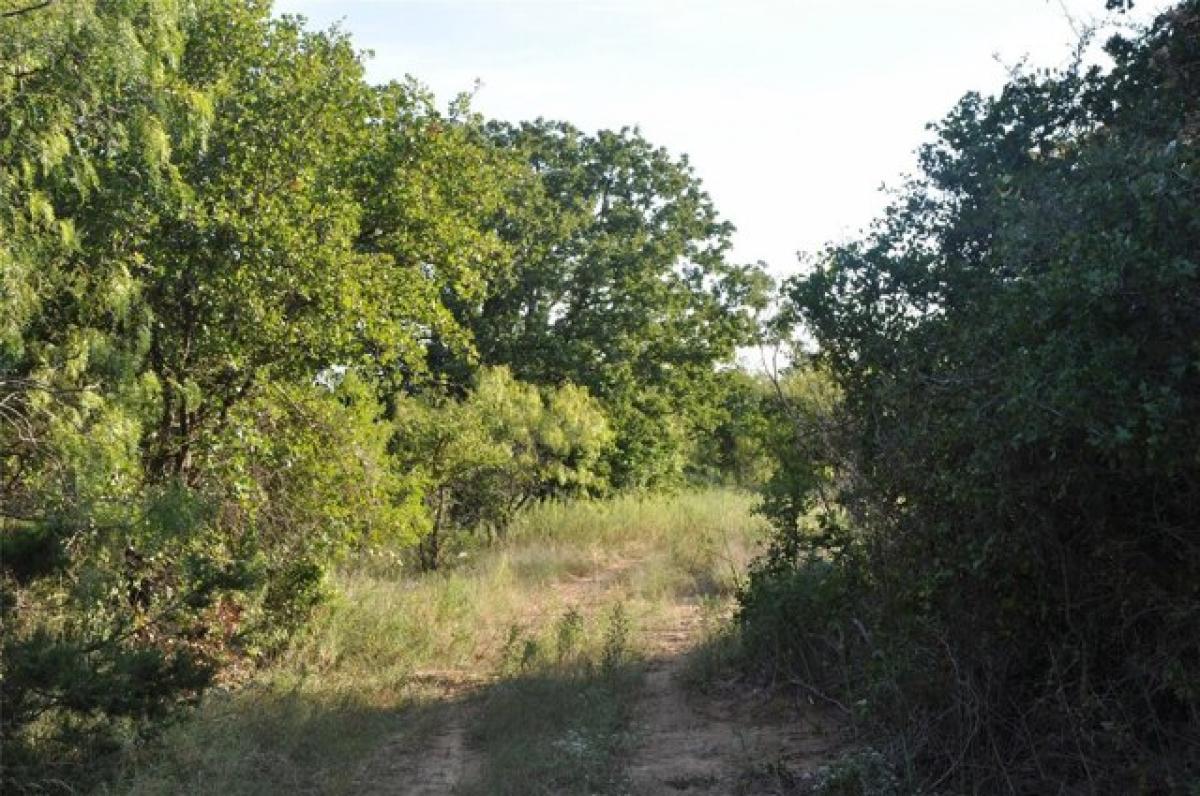  قطعة أرض في Gordon, USA رقم 501541