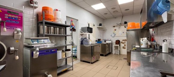 2 rooms Commercial property in Desenzano del Garda, Italy No. 271790 14