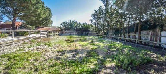 11 Schlafzimmer Haus in Mafra, Portugal, Nr. 130552 42