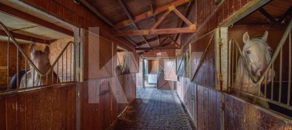 11 Schlafzimmer Haus in Mafra, Portugal, Nr. 130552 41