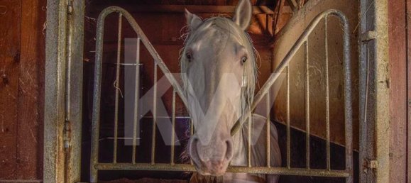11 Schlafzimmer Haus in Mafra, Portugal, Nr. 130552 40