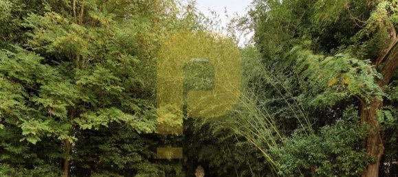 Замки и поместья с 8 спальнями в Элваш, Португалия № 103761 29