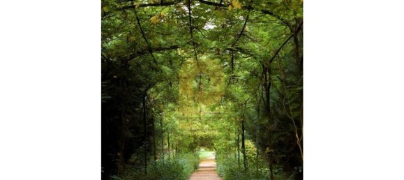 Замки и поместья с 8 спальнями в Элваш, Португалия № 103761 24