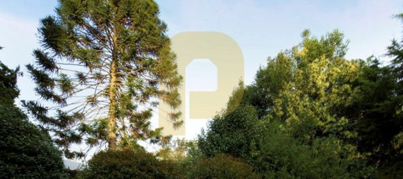 Замки и поместья с 8 спальнями в Элваш, Португалия № 103761 27