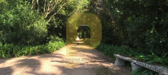 Замки и поместья с 8 спальнями в Элваш, Португалия № 103761 39