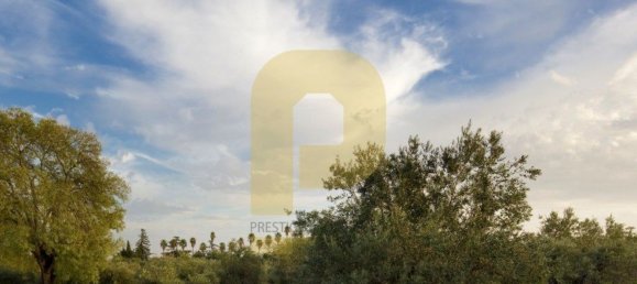 Замки и поместья с 8 спальнями в Элваш, Португалия № 103761 28