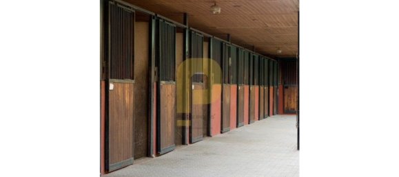 Замки и поместья с 8 спальнями в Элваш, Португалия № 103761 43