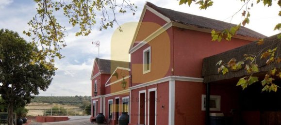 Замки и поместья с 8 спальнями в Элваш, Португалия № 103761 40