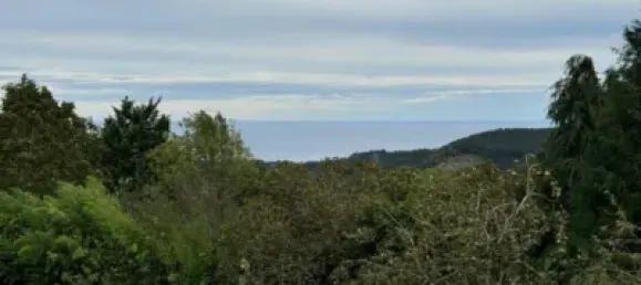 5 غرف نوم منزل في Basque Autonomous Community, Spain رقم 184170 21