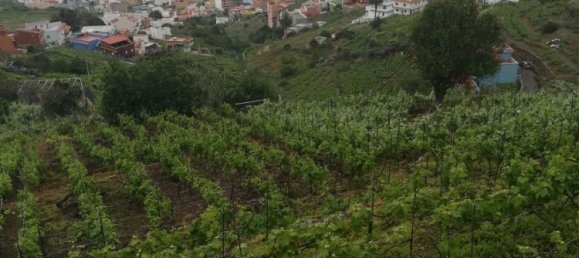 2 Schlafzimmer Haus in Santa Ursula, Spain, Nr. 33094 3