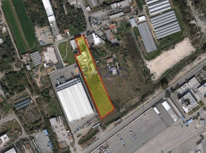 5567m² Land in Limassol, Cyprus No. 16739