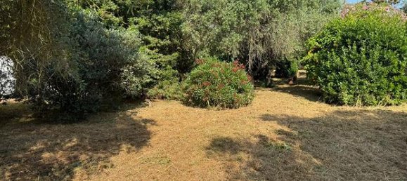 Terrain à Follonica, Italy 3400m² No. 300243 4