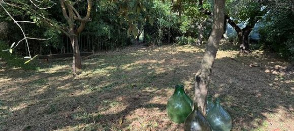 Terrain à Follonica, Italy 3400m² No. 300243 5