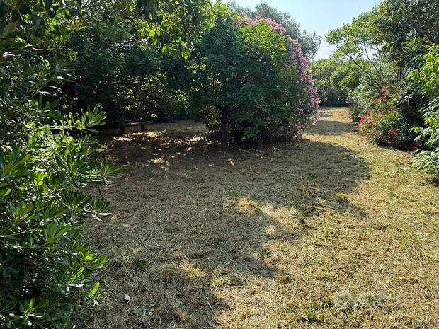 Terrain à Follonica, Italy 3400m² No. 300243