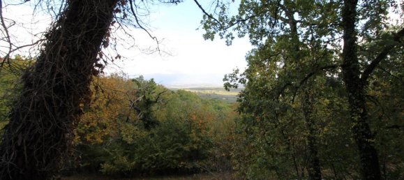 10 rooms Villa in Cavriglia, Italy No. 224883 28