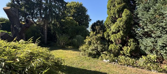 6 rooms Townhouse in Lippe, Germany No. 293201 6