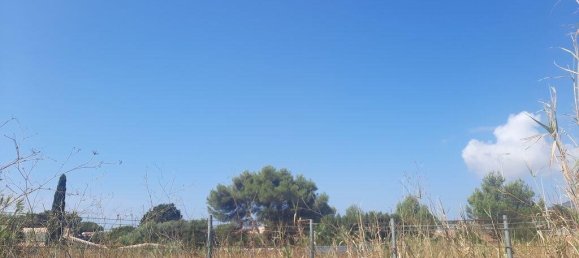  قطعة أرض في Cascais, Portugal 1905متر مربع رقم 137560 11