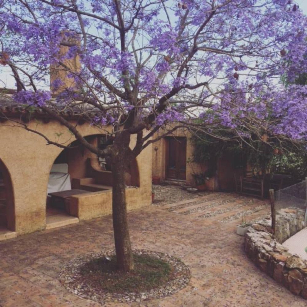 3 bedrooms House in Tigre, Argentina No. 4676