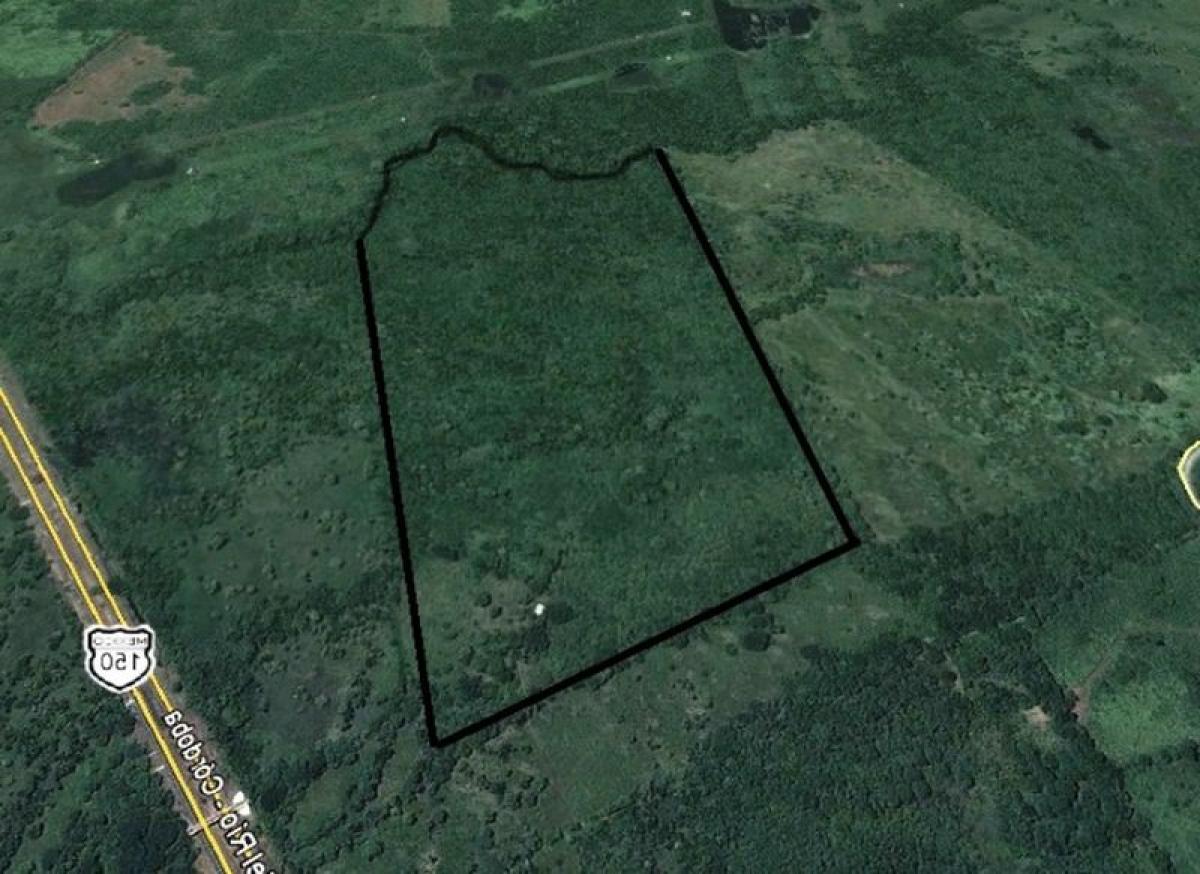  قطعة أرض في Veracruz, Mexico رقم 207169