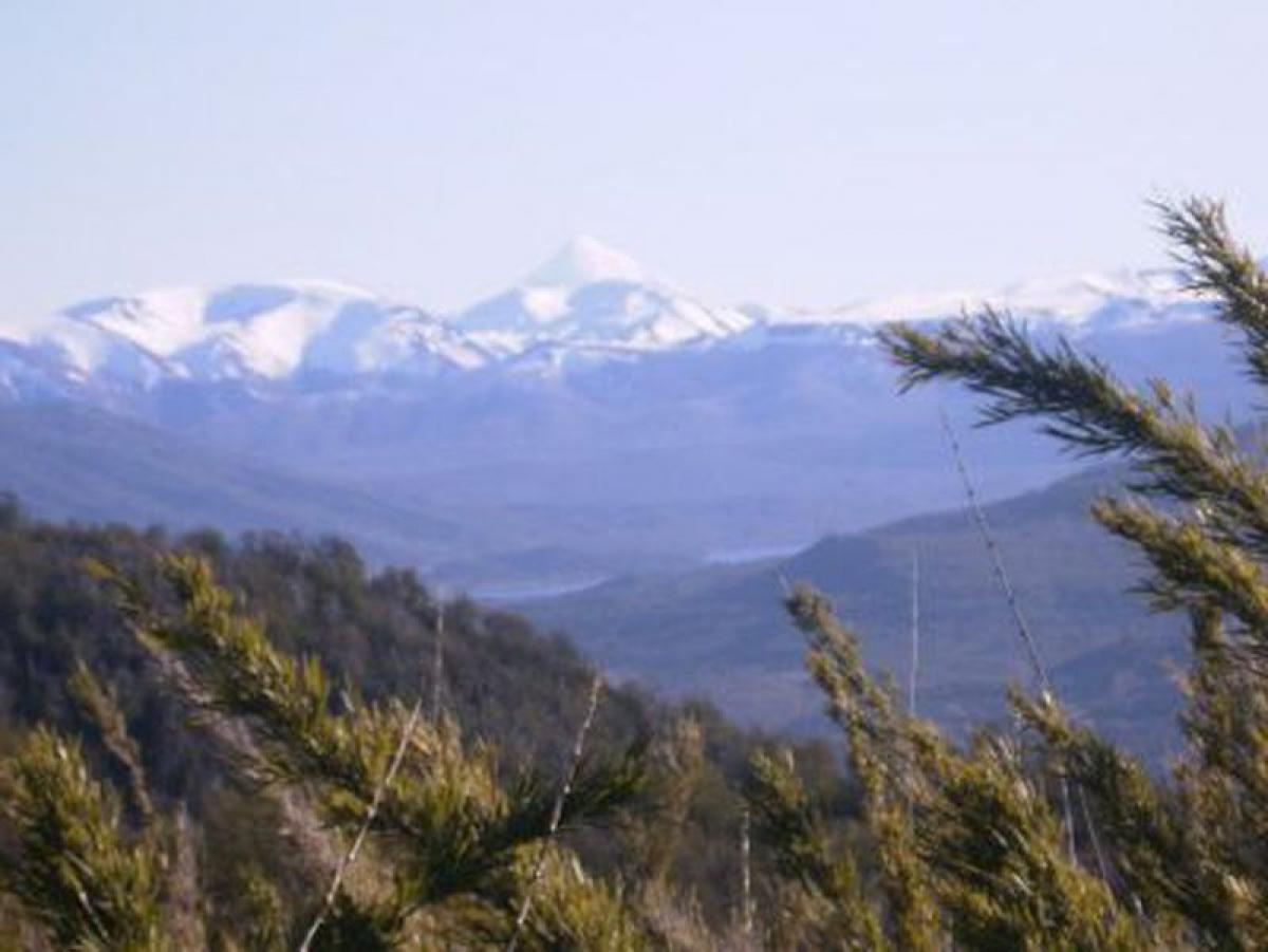  قطعة أرض في Neuquen, Argentina رقم 49205