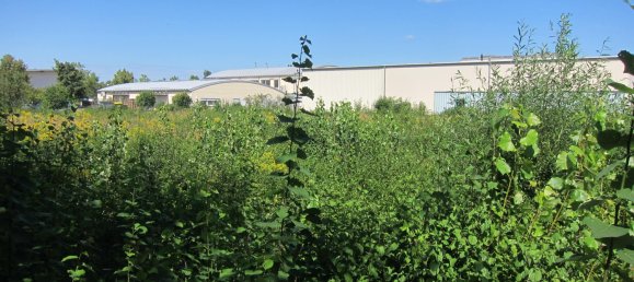 Terreno en Leipzig, Germany No. 346389 3