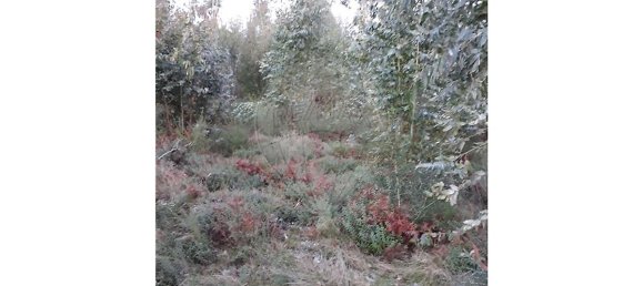 1050m² Land in Valdosende, Portugal No. 31215 2