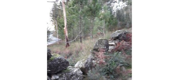 1050m² Land in Valdosende, Portugal No. 31215 4