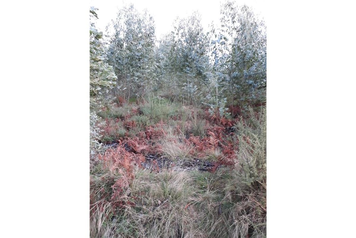 1050m² Land in Valdosende, Portugal No. 31215