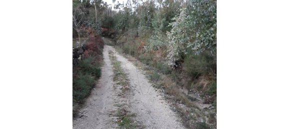 1050m² Land in Valdosende, Portugal No. 31215 3
