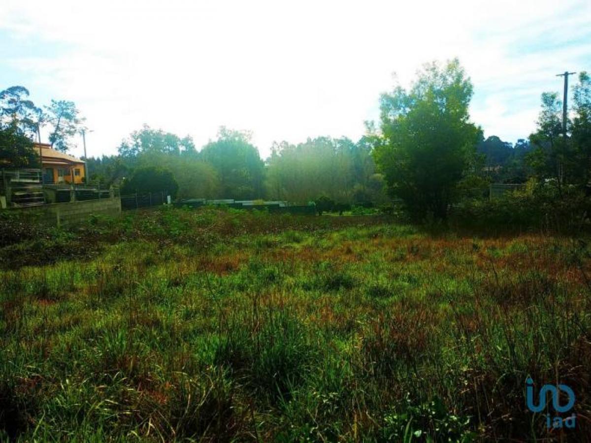  Land in Leiria, Portugal No. 2004