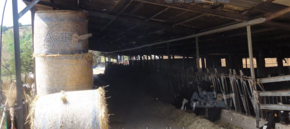  عقار تجاري في Colleferro, Italy 12530متر مربع رقم 203032 19