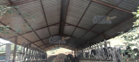  عقار تجاري في Colleferro, Italy 12530متر مربع رقم 203032 3