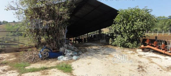  عقار تجاري في Colleferro, Italy 12530متر مربع رقم 203032 2