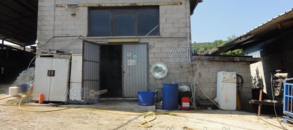  عقار تجاري في Colleferro, Italy 12530متر مربع رقم 203032 28