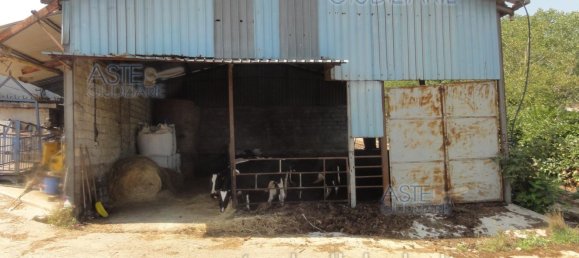  عقار تجاري في Colleferro, Italy 12530متر مربع رقم 203032 18